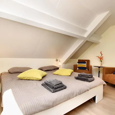 Vakantiehuis Wheelchair Friendly House With Sauna Leykaul