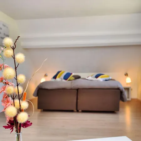 Vakantiehuis Wheelchair Friendly House With Sauna Leykaul