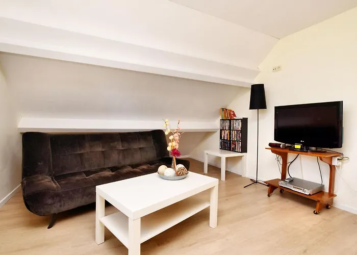 Wheelchair Friendly House With Sauna *